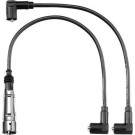 BorgWarner (BERU) ZEF1189 Zündleitungssatz