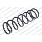 4235762 Fahrwerksfeder