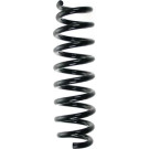 Spidan | Fahrwerksfeder | 56919
