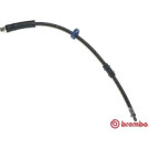 Brembo | Bremsschlauch | T 61 031