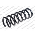 4227644 Fahrwerksfeder