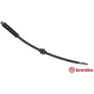 Brembo | Bremsschlauch | T 23 188