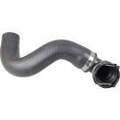 2421376 Kühlerschlauch