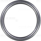 40-76313-10 Dichtring