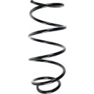 Spidan | Fahrwerksfeder | 56915