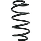 Spidan | Fahrwerksfeder | 87647 Spidan | Fahrwerksfeder | 87647