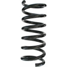 Spidan | Fahrwerksfeder | 87031