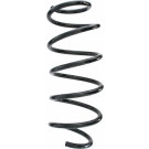 Spidan | Fahrwerksfeder | 55288