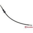 Brembo | Bremsschlauch | T 50 066