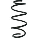 Spidan | Fahrwerksfeder | 87813