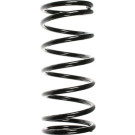 Spidan | Fahrwerksfeder | 55009