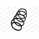 4072964 Fahrwerksfeder