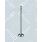 OE Germany | Einlassventil | 07 0520 846000