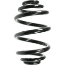Spidan | Fahrwerksfeder | 49767