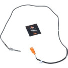 NRF | Sensor, Abgastemperatur | 707057