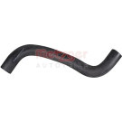 2422069 Kühlerschlauch