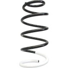 Spidan | Fahrwerksfeder | 86710