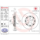 Brembo | Bremsscheibe | 09.A193.13