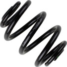 38-241536 Fahrwerksfeder BILSTEIN - B3 Serienersatz (Federn)