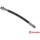 Brembo | Bremsschlauch | T 23 182