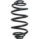 Spidan | Fahrwerksfeder | 87857