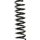 Spidan | Fahrwerksfeder | 49727