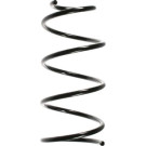 Spidan | Fahrwerksfeder | 49481