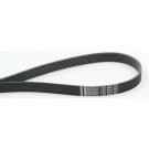 ContiTech | Keilrippenriemen | 7PK2061