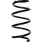 Spidan | Fahrwerksfeder | 56168