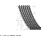 Blue Print | Keilrippenriemen | AD06R1206