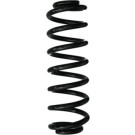 Spidan | Fahrwerksfeder | 87996