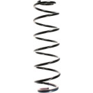 Spidan | Fahrwerksfeder | 56780