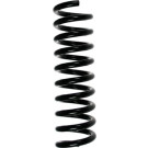Spidan | Fahrwerksfeder | 55736