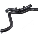 2422199 Kühlerschlauch