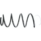 993 153 Fahrwerksfeder