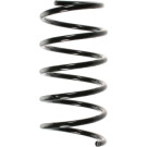 Spidan | Fahrwerksfeder | 49285