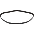 FEBI BILSTEIN 17811 Zahnriemen FEBI BILSTEIN 17811 Zahnriemen