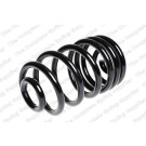 4263463 Fahrwerksfeder