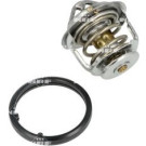 NRF | Thermostat, Kühlmittel | 725284