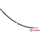 Brembo | Bremsschlauch | T 28 092