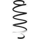 Spidan | Fahrwerksfeder | 87964