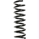 55726 Fahrwerksfeder