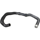 2420847 Kühlerschlauch