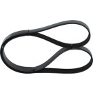 1 987 946 251 Keilrippenriemen