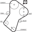 5049XS Zahnriemen PowerGrip™ 5049XS Zahnriemen PowerGrip™