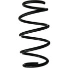 Spidan | Fahrwerksfeder | 87991