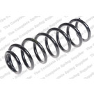 4272958 Fahrwerksfeder