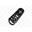 4256870 Fahrwerksfeder