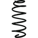 Spidan | Fahrwerksfeder | 87537