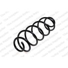4215602 Fahrwerksfeder